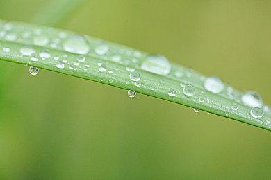 CMA因云游戏阻止微软收购动视暴雪 云游戏平台公开反对CMA